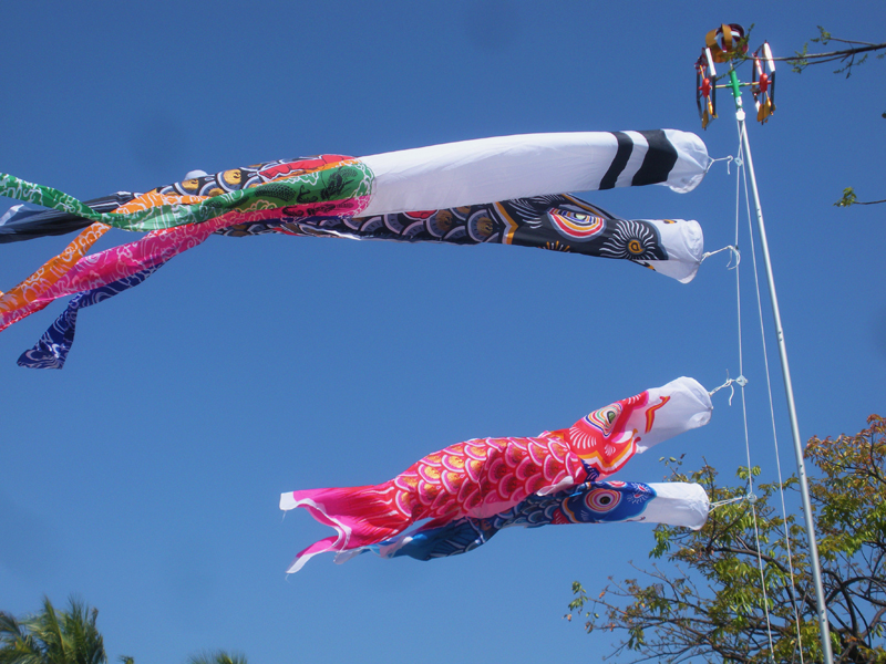 japanese flying fish