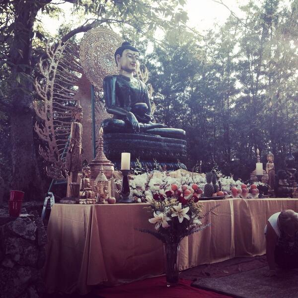 Jade Buddha in the Japanese Garden from @MaxineViktor